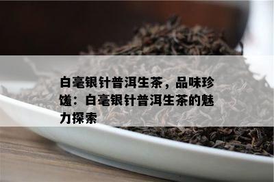 白毫银针普洱生茶，品味珍馐：白毫银针普洱生茶的魅力探索