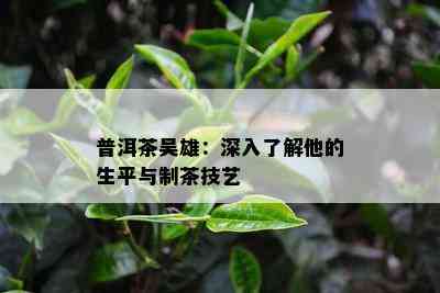 普洱茶吴雄：深入熟悉他的生平与制茶技艺