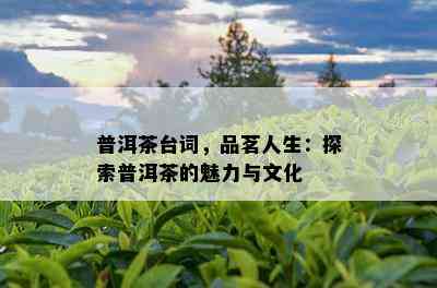 普洱茶台词，品茗人生：探索普洱茶的魅力与文化