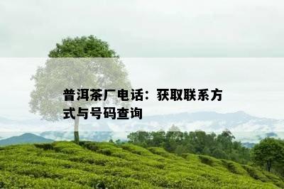 普洱茶厂电话：获取联系方法与号码查询