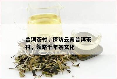 普洱茶村，探访云南普洱茶村，领略千年茶文化