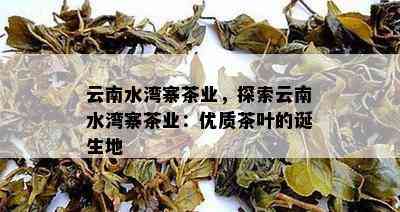 云南水湾寨茶业，探索云南水湾寨茶业：优质茶叶的诞生地