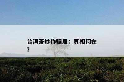 普洱茶炒作骗局：真相何在？