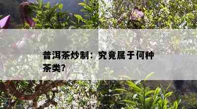 普洱茶炒制：究竟属于何种茶类？