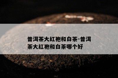 普洱茶大红袍和白茶-普洱茶大红袍和白茶哪个好