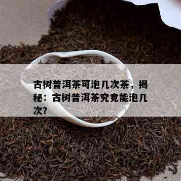 古树普洱茶可泡几次茶，揭秘：古树普洱茶究竟能泡几次？