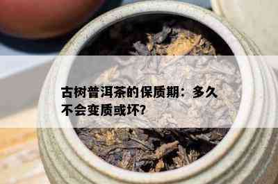 古树普洱茶的保质期：多久不会变质或坏？