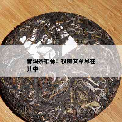 普洱茶推荐：权威文章尽在其中