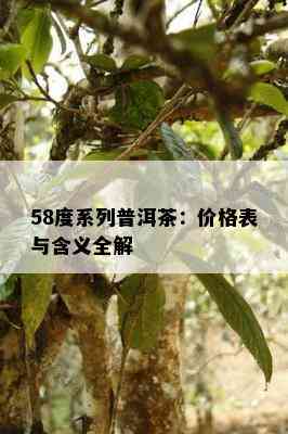 58度系列普洱茶：价格表与含义全解