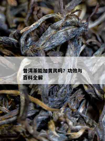 普洱茶能加黄芪吗？功效与百科全解