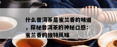 什么普洱茶是蜜兰香的味道，探秘普洱茶的神秘口感：蜜兰香的独特风味