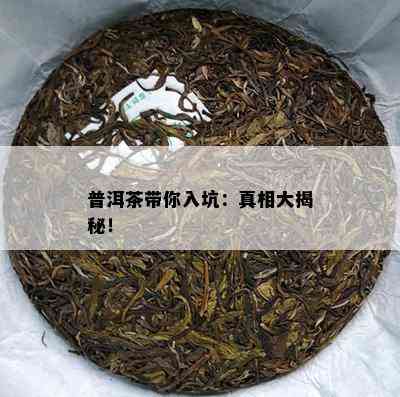 普洱茶带你入坑：真相大揭秘！