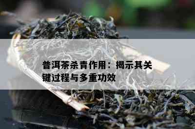 普洱茶杀青作用：揭示其关键过程与多重功效