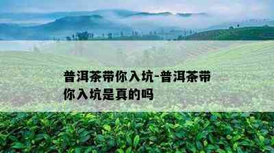 普洱茶带你入坑-普洱茶带你入坑是真的吗