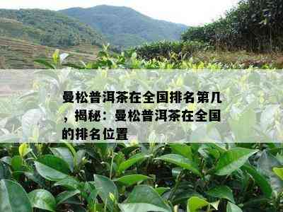 曼松普洱茶在全国排名第几，揭秘：曼松普洱茶在全国的排名位置