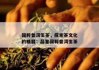 国粹普洱生茶，探索茶文化的精髓：品鉴国粹普洱生茶