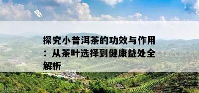 探究小普洱茶的功效与作用：从茶叶选择到健康益处全解析