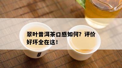 翠叶普洱茶口感如何？评价好坏全在这！