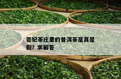 芸妃茶庄里的普洱茶是真是假？求解答