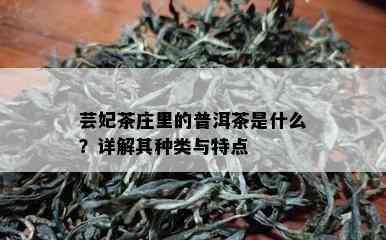 芸妃茶庄里的普洱茶是什么？详解其种类与特点