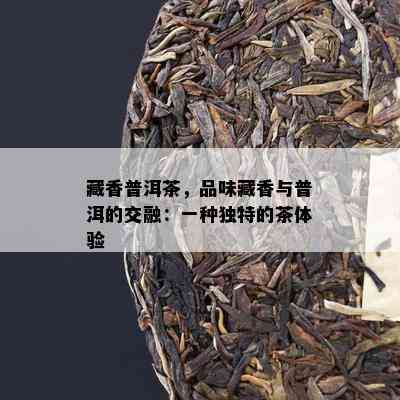 藏香普洱茶，品味藏香与普洱的交融：一种独特的茶体验