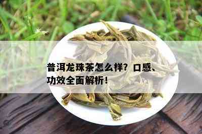 普洱龙珠茶怎么样？口感、功效全面解析！