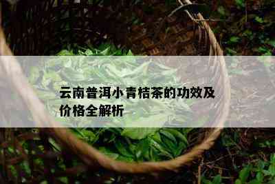 云南普洱小青桔茶的功效及价格全解析