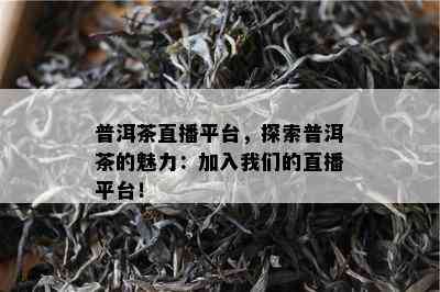 普洱茶直播平台，探索普洱茶的魅力：加入咱们的直播平台！