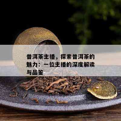 普洱茶主播，探索普洱茶的魅力：一位主播的深度解读与品鉴