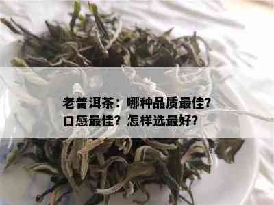 老普洱茶：哪种品质更佳？口感更佳？怎样选更好？