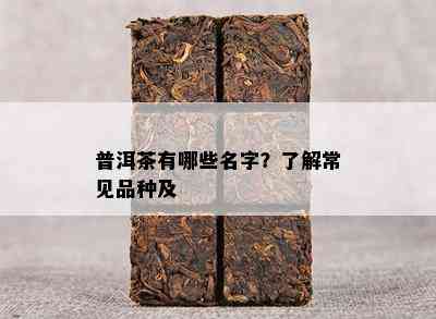 普洱茶有哪些名字？熟悉常见品种及