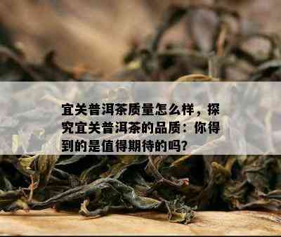 宜关普洱茶品质怎么样，探究宜关普洱茶的品质：你得到的是值得期待的吗？