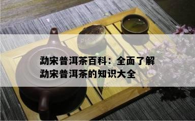 勐宋普洱茶百科：全面了解勐宋普洱茶的知识大全