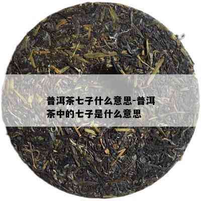 普洱茶七子什么意思-普洱茶中的七子是什么意思