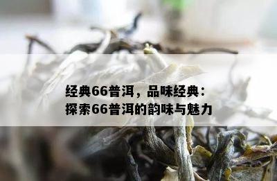 经典66普洱，品味经典：探索66普洱的韵味与魅力