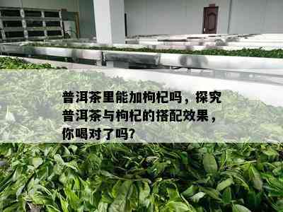 普洱茶里能加枸杞吗，探究普洱茶与枸杞的搭配效果，你喝对了吗？