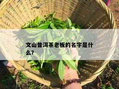 文山普洱茶老板的名字是什么？