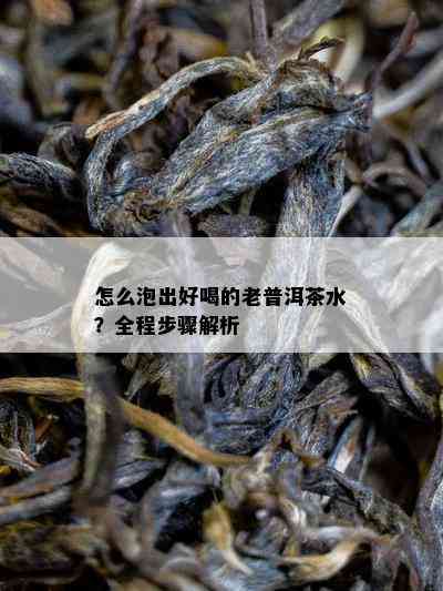 怎么泡出好喝的老普洱茶水？全程步骤解析