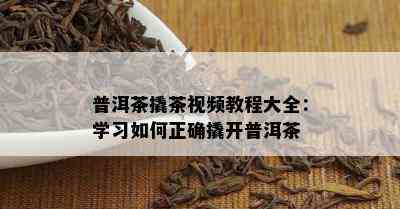 普洱茶撬茶视频教程大全：学习怎样正确撬开普洱茶