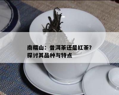 南糯山：普洱茶还是红茶？探讨其品种与特点