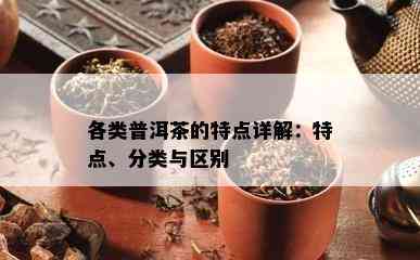 各类普洱茶的特点详解：特点、分类与区别