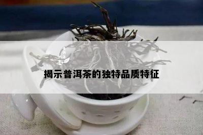 揭示普洱茶的特别品质特征