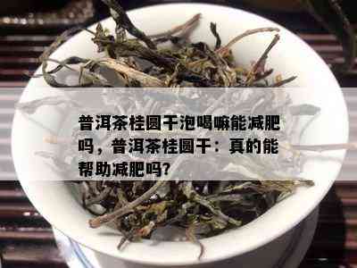 普洱茶桂圆干泡喝嘛能减肥吗，普洱茶桂圆干：真的能帮助减肥吗？