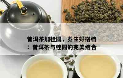 普洱茶加桂圆，养生好搭档：普洱茶与桂圆的完美结合