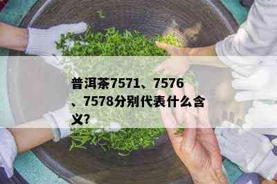 普洱茶7571、7576、7578分别代表什么含义？