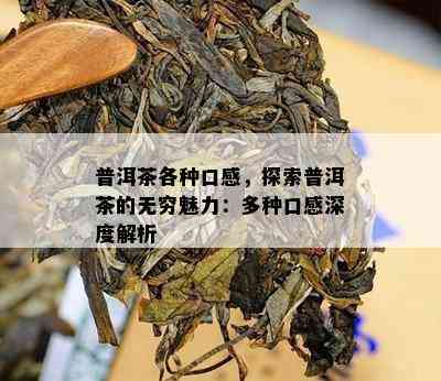 普洱茶各种口感，探索普洱茶的无穷魅力：多种口感深度解析