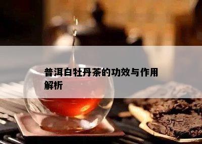 普洱白牡丹茶的功效与作用解析