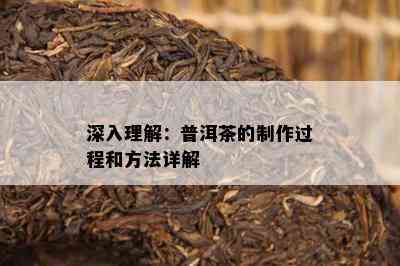 深入理解：普洱茶的制作过程和方法详解