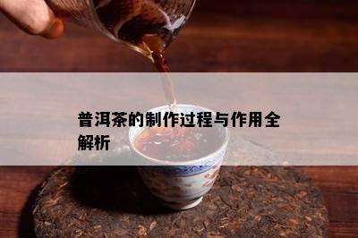 普洱茶的制作过程与作用全解析