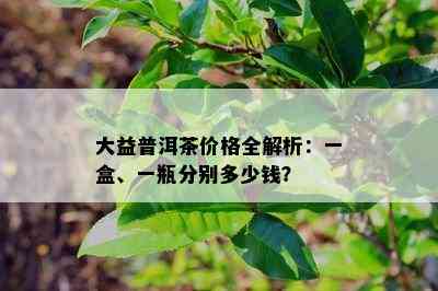 大益普洱茶价格全解析：一盒、一瓶分别多少钱？